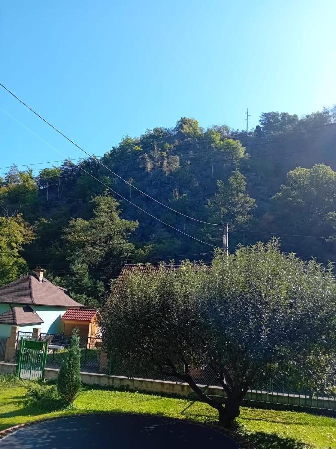 Rekreacni Chata Kocaba Stechowitz Zewnętrze zdjęcie